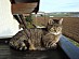View full size picture