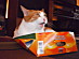View full size picture