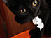 View full size picture
