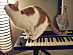 View full size picture
