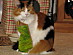 View full size picture