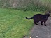 View full size picture