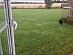View full size picture