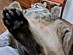 View full size picture