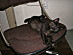 View full size picture