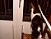 View full size picture