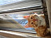 View full size picture