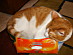 View full size picture