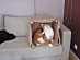 View full size picture