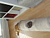 View full size picture