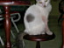 View full size picture