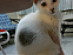 View full size picture