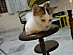 View full size picture