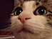 View full size picture