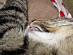 View full size picture