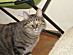 View full size picture