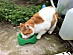 View full size picture