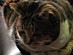 View full size picture