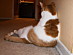 View full size picture