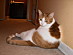 View full size picture
