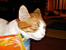 View full size picture