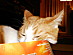 View full size picture