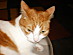 View full size picture