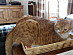 View full size picture