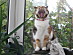 View full size picture