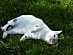 View full size picture