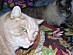 View full size picture