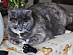 View full size picture