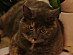 View full size picture