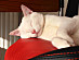 View full size picture