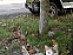 View full size picture