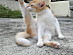 View full size picture