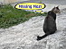 View full size picture