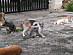 View full size picture