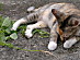 View full size picture