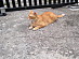 View full size picture