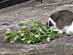View full size picture