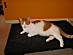 View full size picture