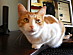 View full size picture