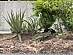 View full size picture