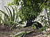View full size picture