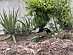 View full size picture
