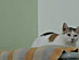 View full size picture