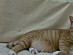 View full size picture