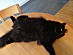 View full size picture