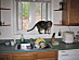 View full size picture